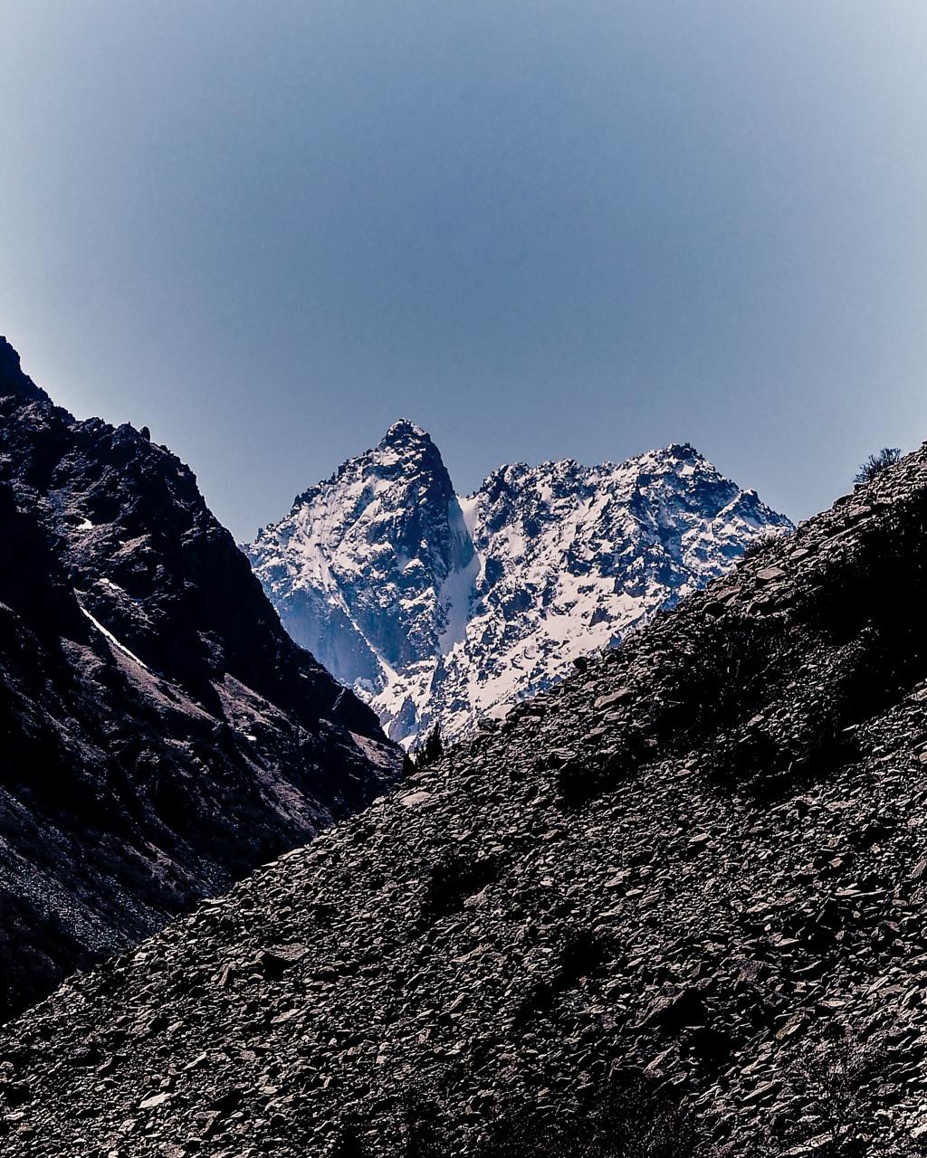 Haim Travel Background
